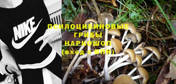 гидропоника Майский