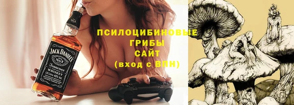 ешки Магас