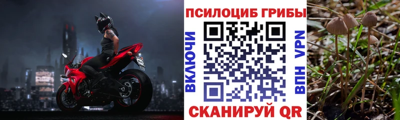 Купить закладки  Бронницы  Псилоцибиновые грибы прущие грибы 